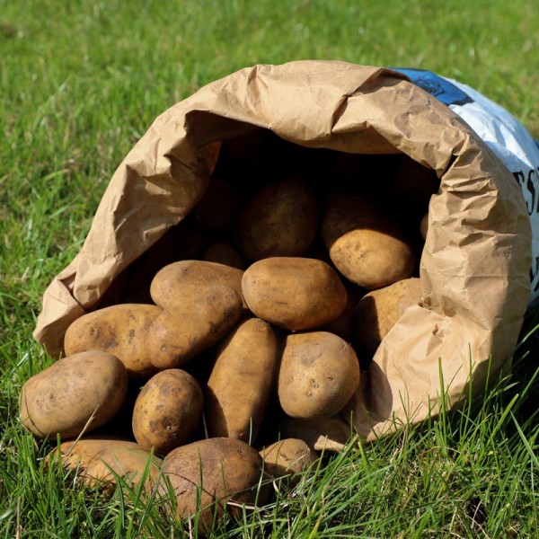 Potatoes